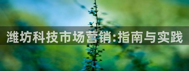 金年会体育网址是多少