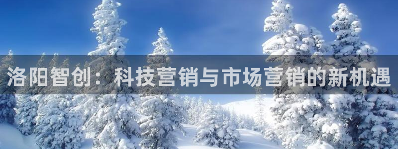 金年会体育app网页版入口