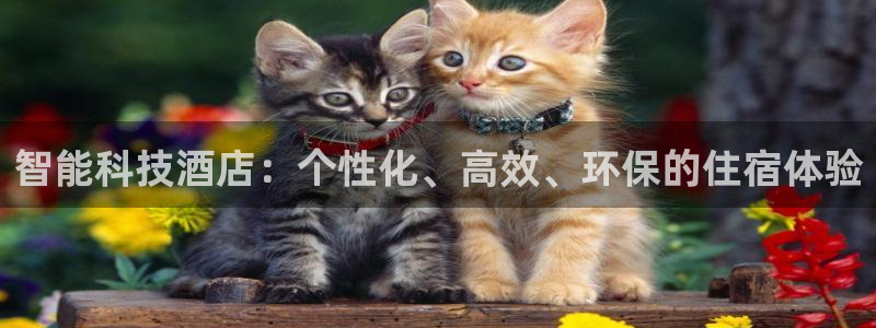 金年会手机网页版官网