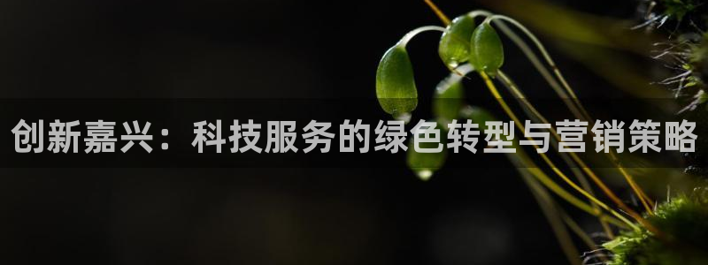 金年会官方app下载