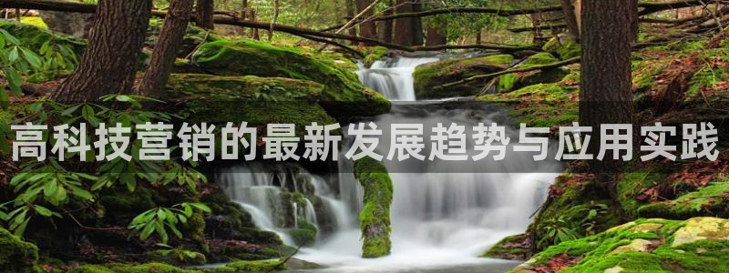 金年会体育是合法的吗