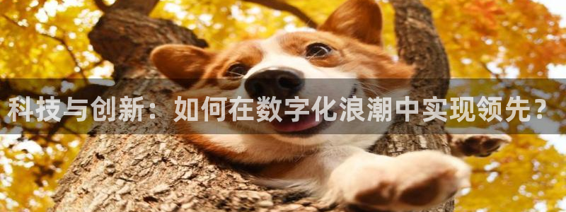 金年会体育app官网入口