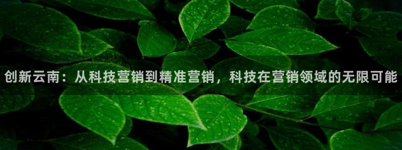 金年会体育黑吗