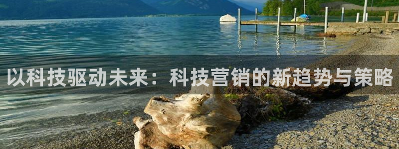金年会电子游