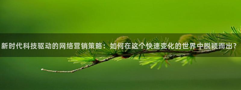 金年会官方网址查询