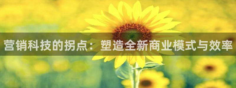 金年会金字招牌诚信