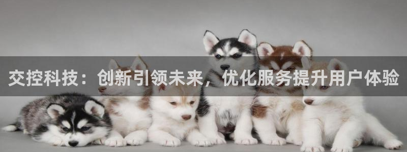 金年会体育官网入口