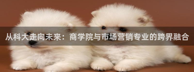 金年会官方入口首页网站下载