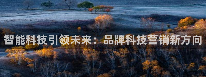 金年会电子官网