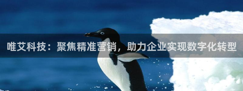 金年会pg电子官网