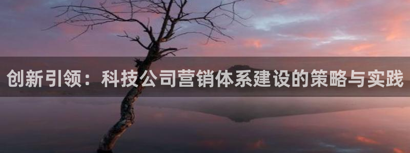 金年会vip网页版在线登录入口官网