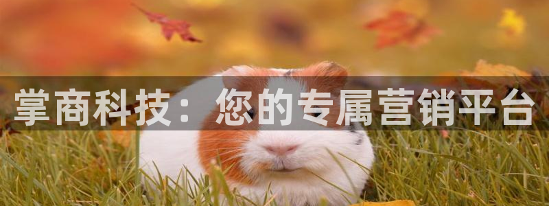 金年会官方网站入口登录网