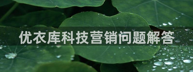 金年会官方网站登录网址