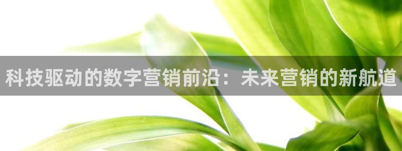 金年会官方登录入口手机版app