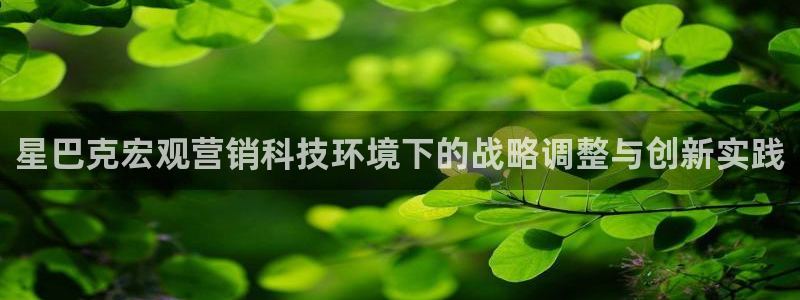 金年会手机网页版登录入口