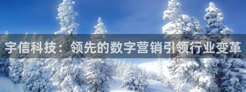 金年会官方网站登录网址是什么
