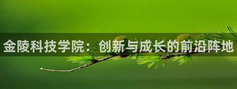 金年会体育官网登录入口网址