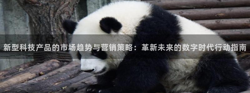 金年会体育注册