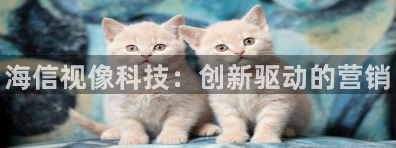 金年会官方登录网址