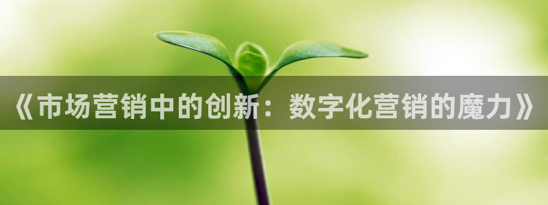 金年会金字招牌登录入口评测