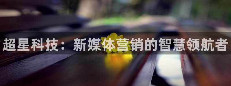 金年会网登录平台入口