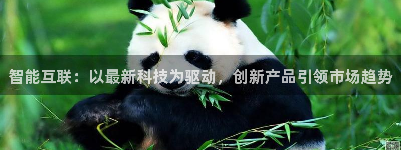 金年会体育注册