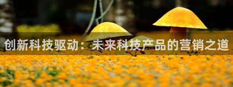 金年会官方网站入口登录手机版下载