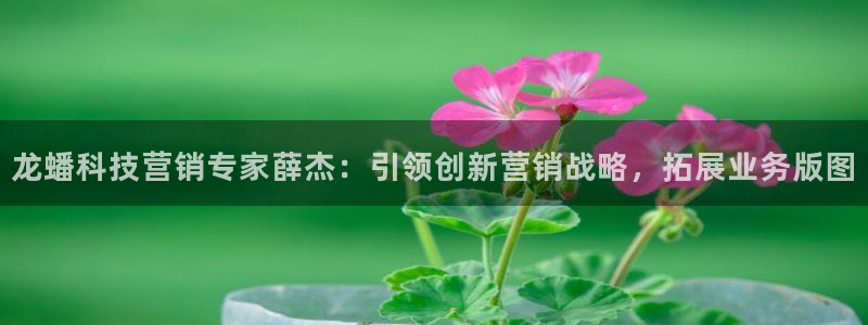 金年会手机网页版官网