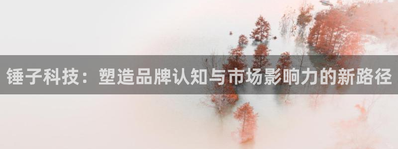 金年会vip网页版在线登录入口下载