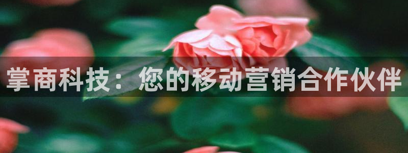 金年会官方入口网站下载