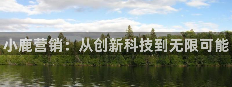 金年会平台真他妈坑人