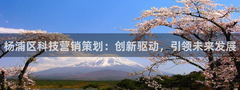 金年会官方新入口