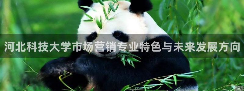 金年会手机版官方下载