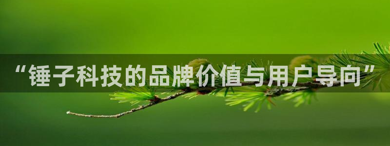 金年会体育黑钱吗