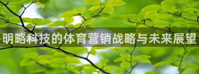 金年会信誉至上 | 金字招牌