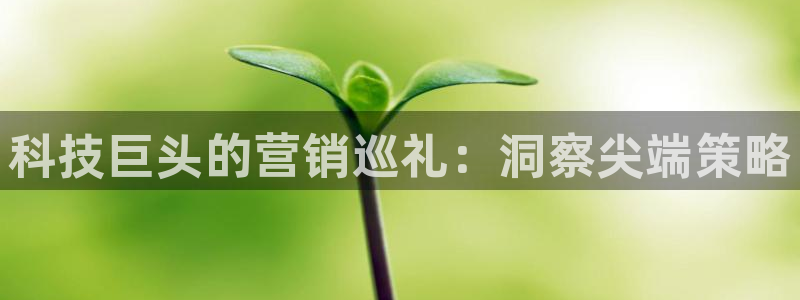 金年会是什么平台会不会提不了现