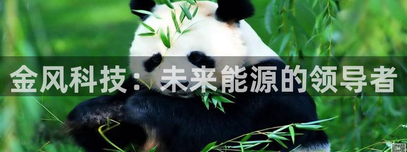 金年会网站拒绝出款怎么办