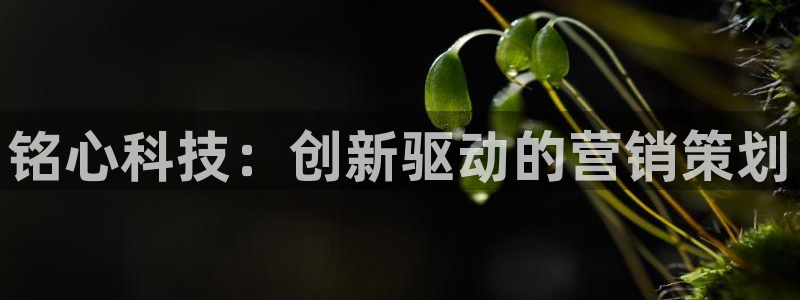 金年会官方登录入口手机版下载
