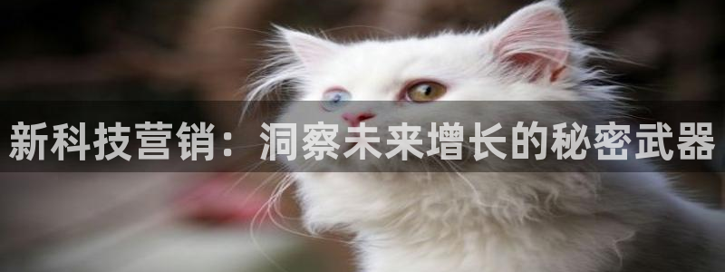 金年会体育客户端登录