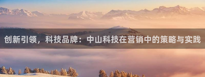 金年会官方入口app