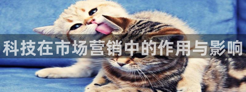 金年会下载官方app