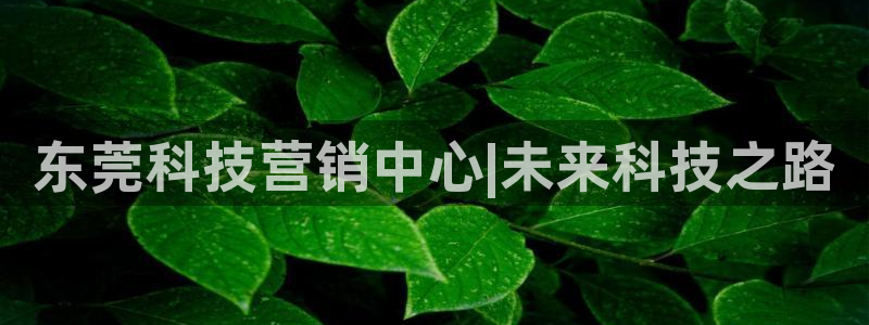 金年会官方网站入口网